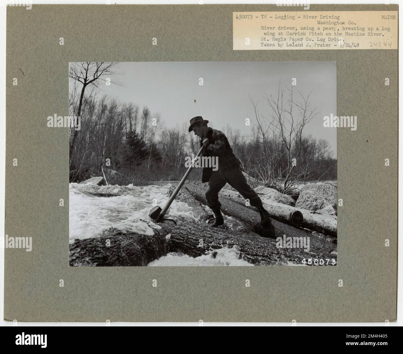 Logging: Transportation: Log Drive - Maine. Photographs Relating to ...