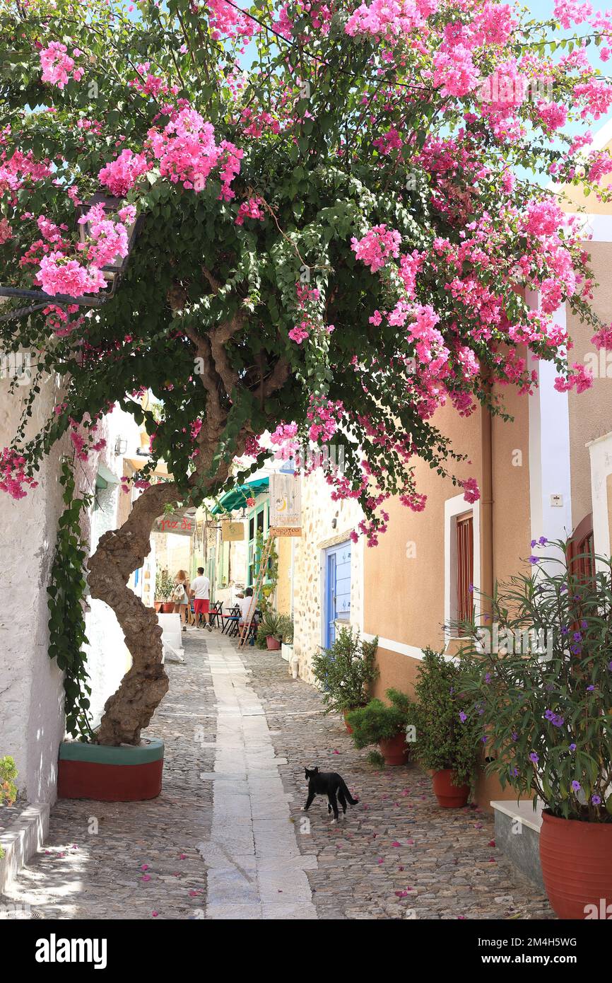 Exploring greek island hi-res stock photography and images - Alamy