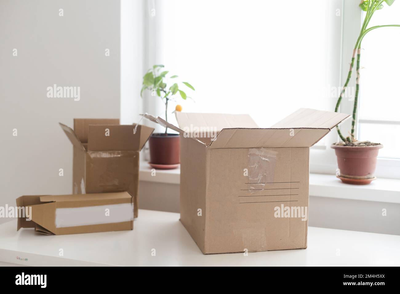 empty open cardboard box on wooden surface with empty space Stock Photo ...