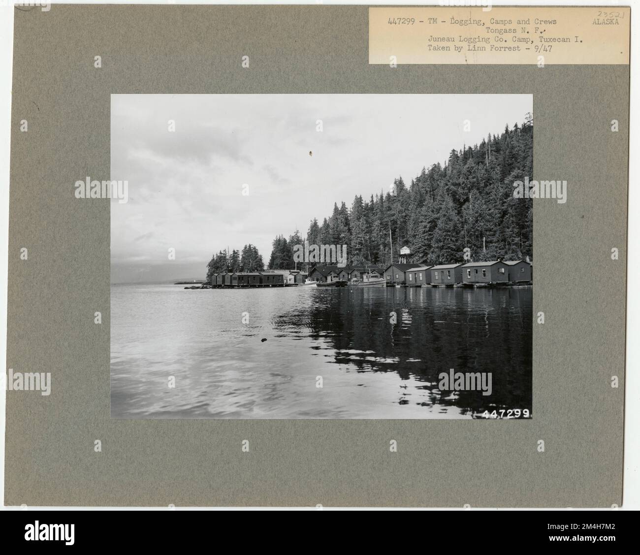 Logging Camps and Crews Alaska. Photographs Relating to National