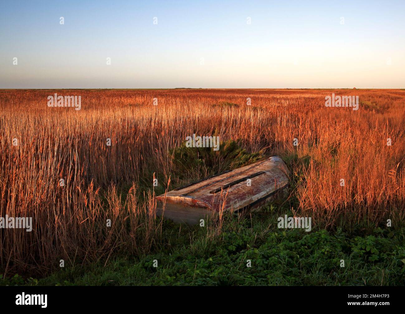 A deteriorating upturned boat in the edge of reed beds on the North Norfolk coast at Cley Next the Sea, Norfolk, England, United Kingdom. Stock Photo