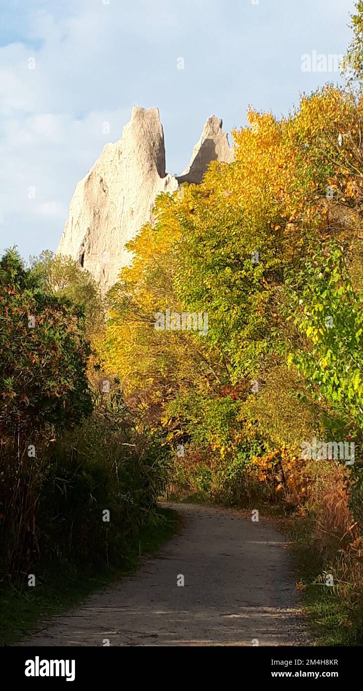 A vertical shot of the road through fresh trees with rocky mountains in ...