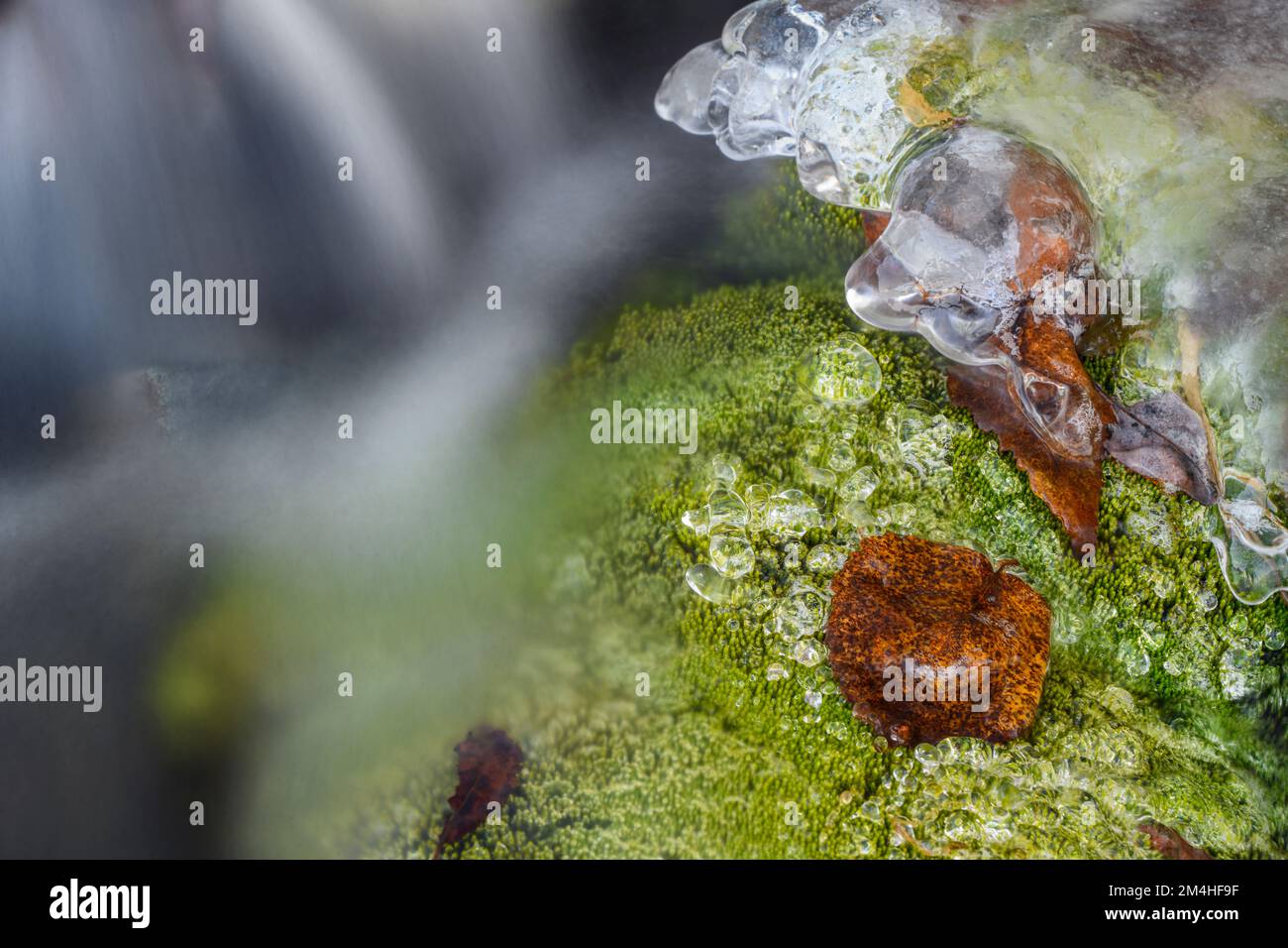 Running water, ice and moss in a small runoff creek, Greater Sudbury, Ontario, Canada Stock Photo