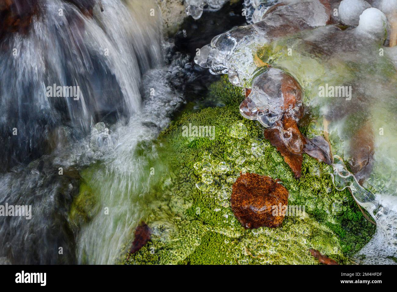 Running water, ice and moss in a small runoff creek, Greater Sudbury, Ontario, Canada Stock Photo
