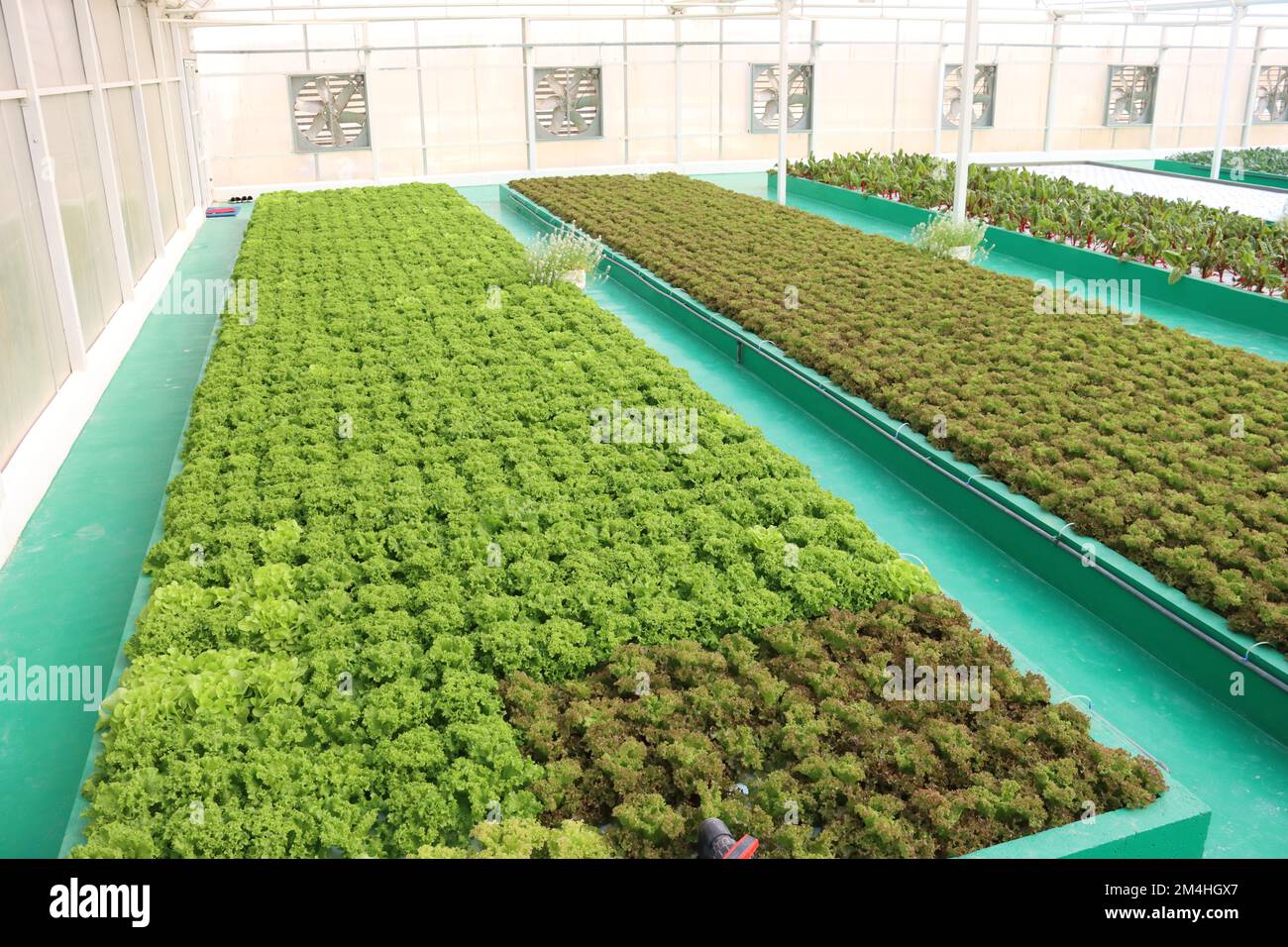 Hydroponics Farming System Stock Photo Alamy
