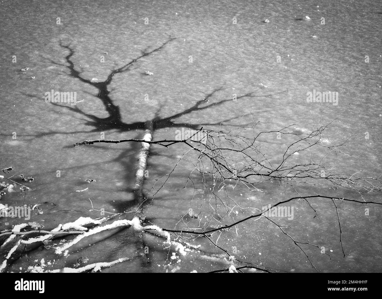 A frozen lake with cracked ice pattern in black and white Stock Photo