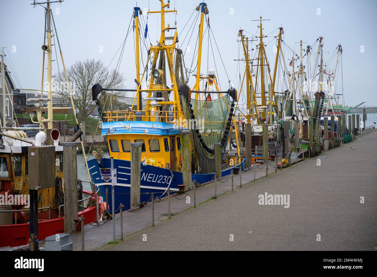 NEUHARLINGERSIEL, GERMANY - NOVEMBER 26, 2022: Shrimp cutters moored in harbor Stock Photo