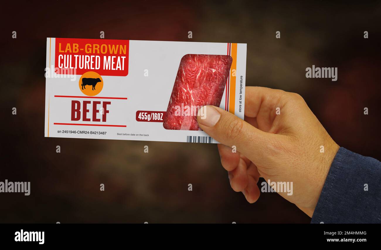 Cultured meat labgrown box in hand. Synthetic beef from biotech