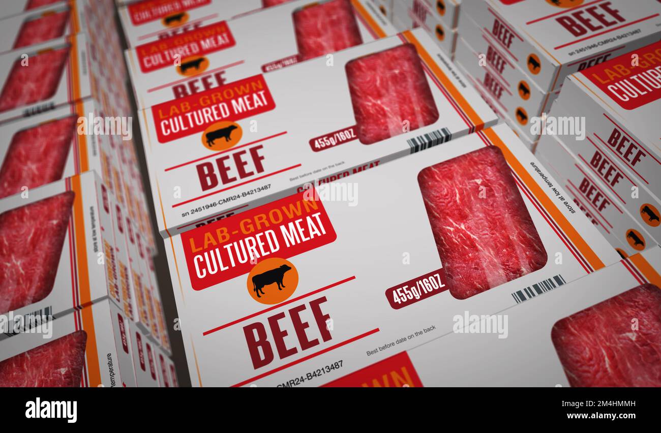 Cultured meat labgrown box production line. Synthetic beef from