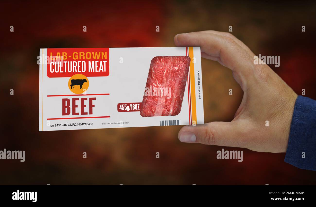 Cultured meat labgrown box in hand. Synthetic beef from biotech
