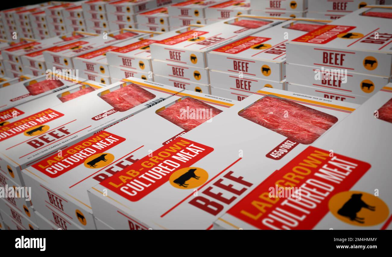 Cultured meat labgrown box production line. Synthetic beef from