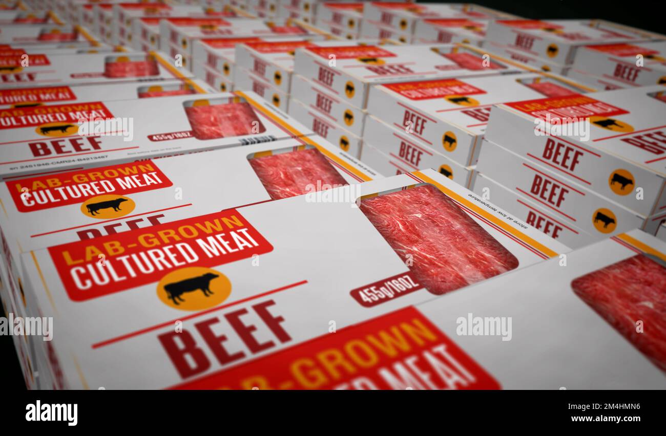 Cultured meat labgrown box production line. Synthetic beef from