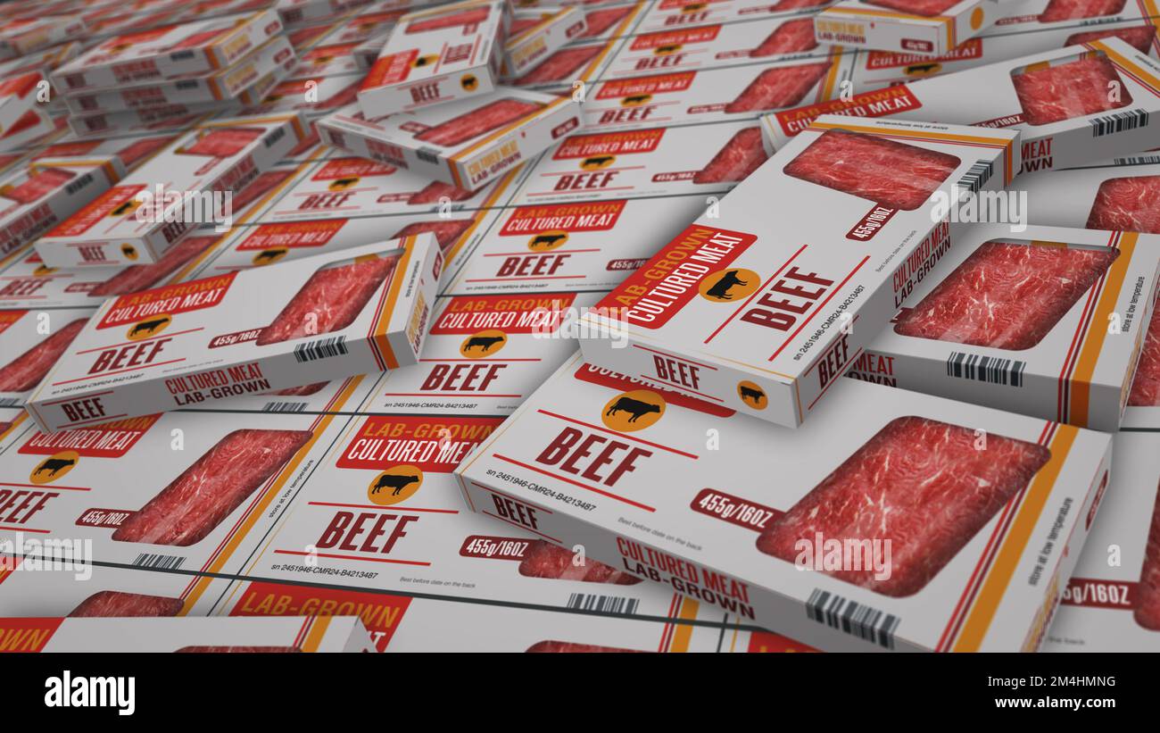 Cultured meat labgrown box production line. Synthetic beef from