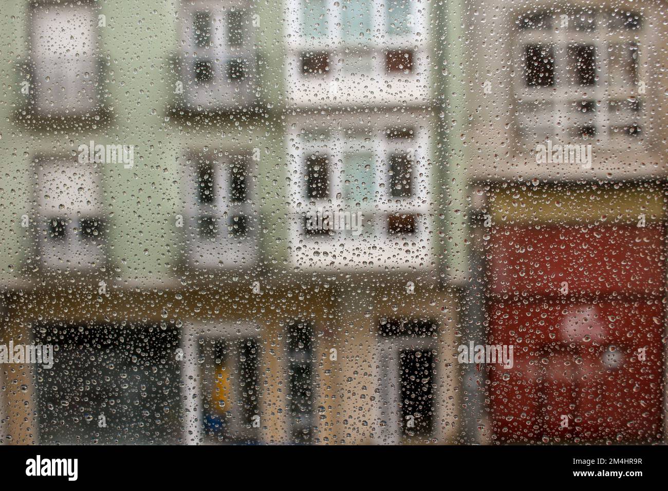rainy day in december from my kitchen window Stock Photo Alamy