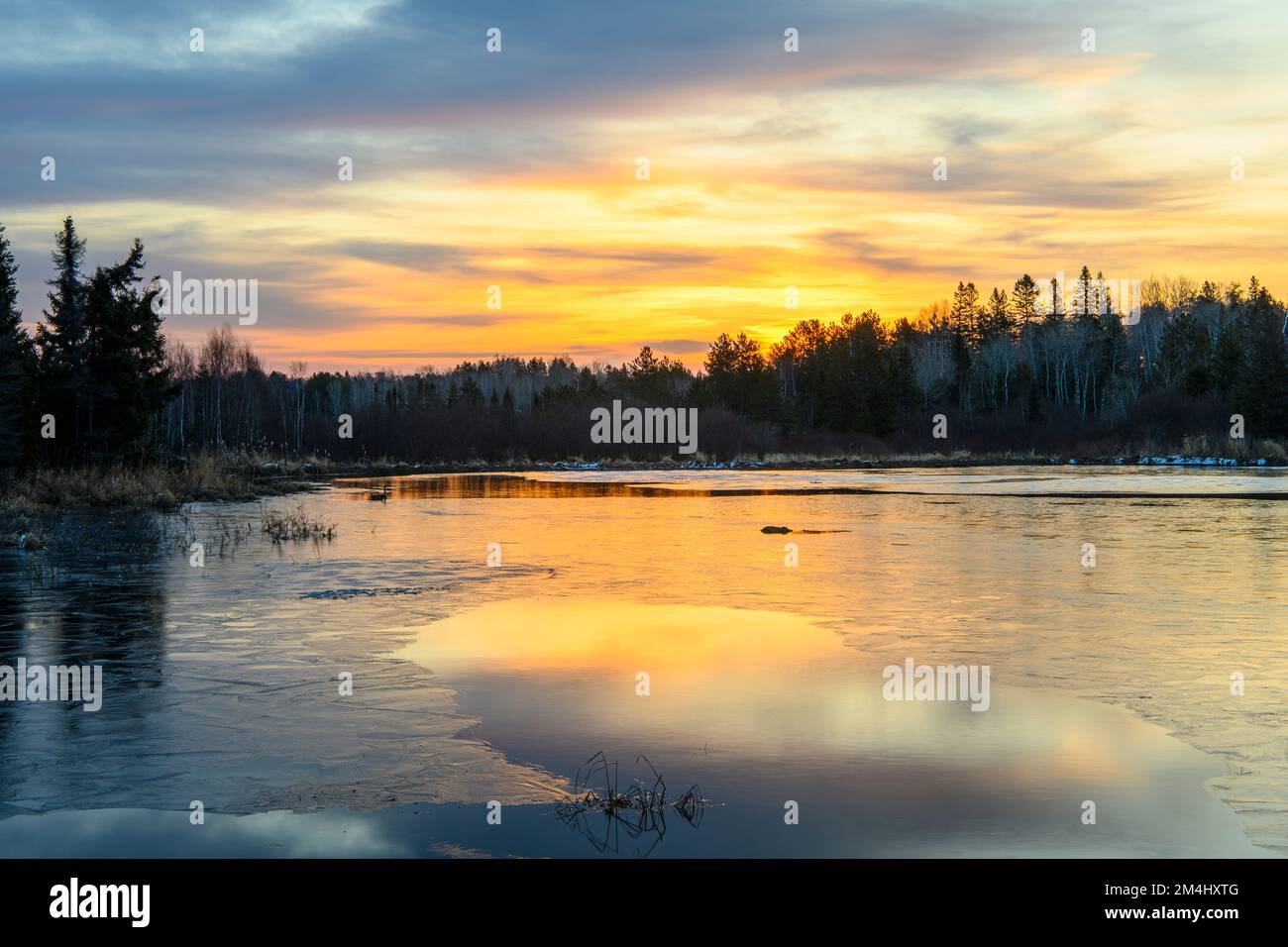 Sunrise reflections in ice, open water of a beaver pond in early spring, Greater Sudbury, Ontario, Canada Stock Photo