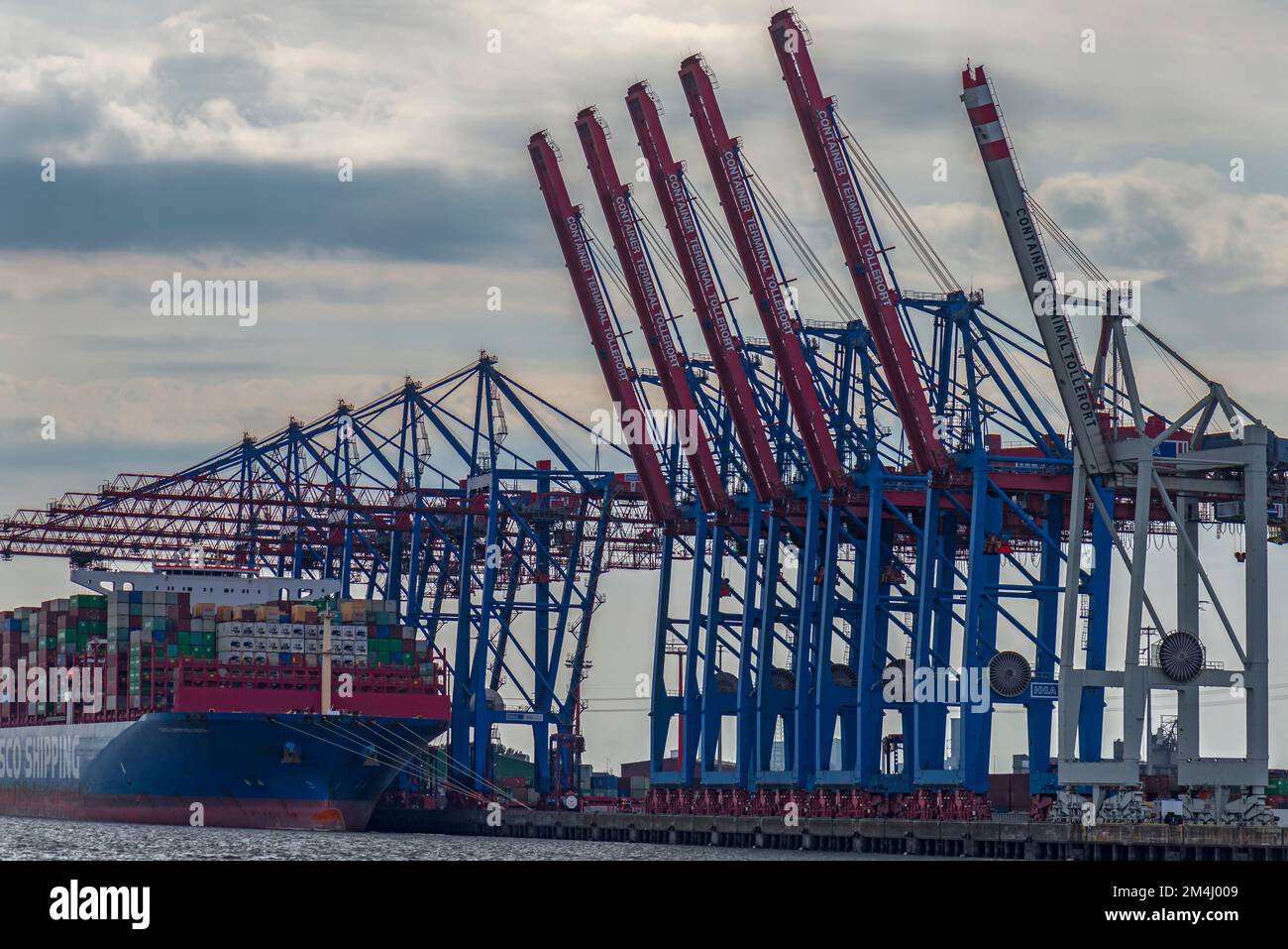 Container ship and unloading cranes in the Port of Hamburg, Hamburg ...