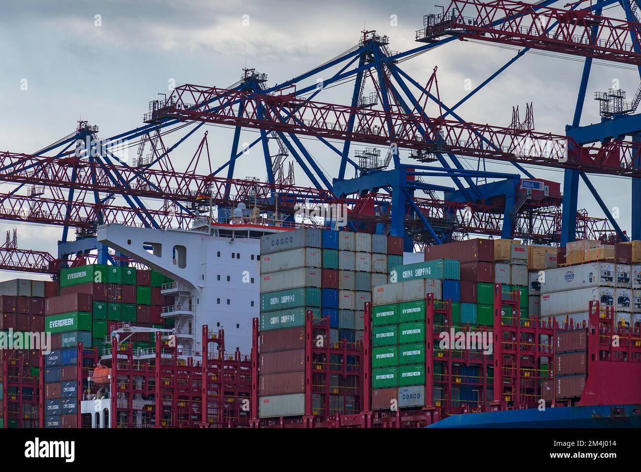 Container ship and unloading cranes in the Port of Hamburg, Hamburg ...