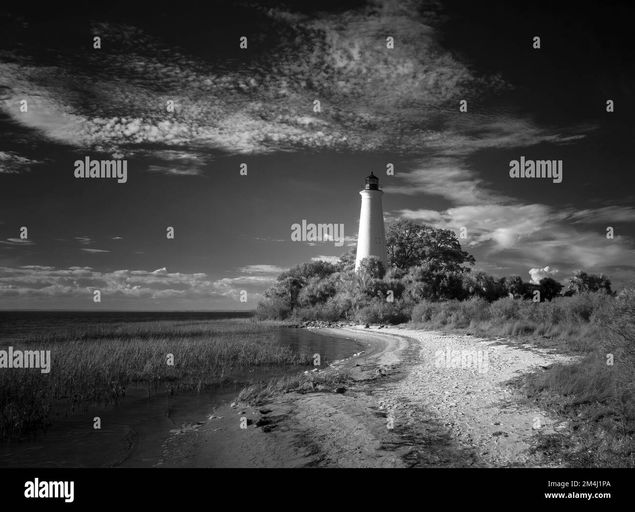 Black and white of lighthouse in St Marks National Wildlife Refuge in