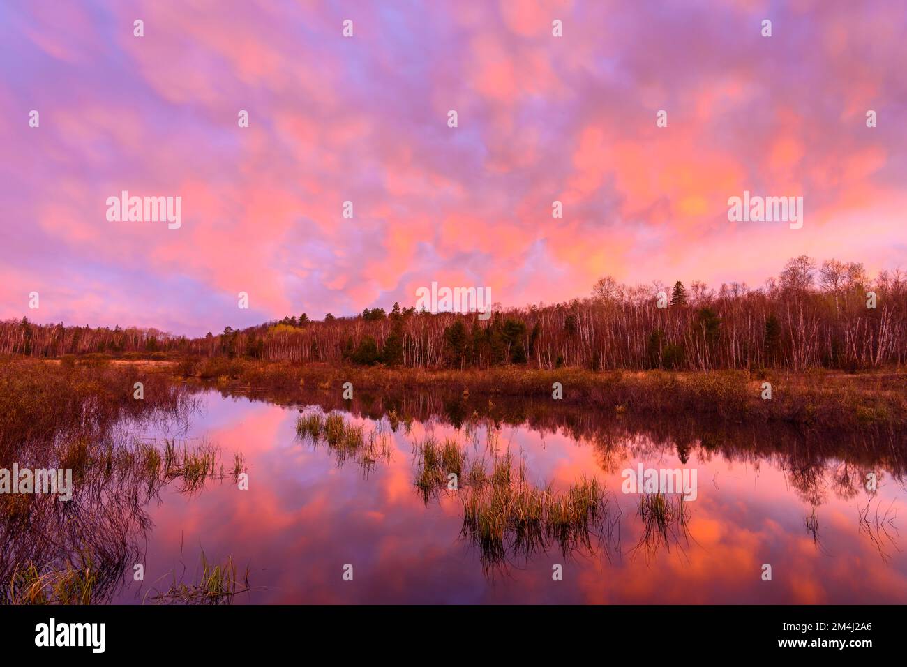 Pre-dawn reflections in a beaver pond in early spring, Greater Sudbury, Ontario, Canada Stock Photo