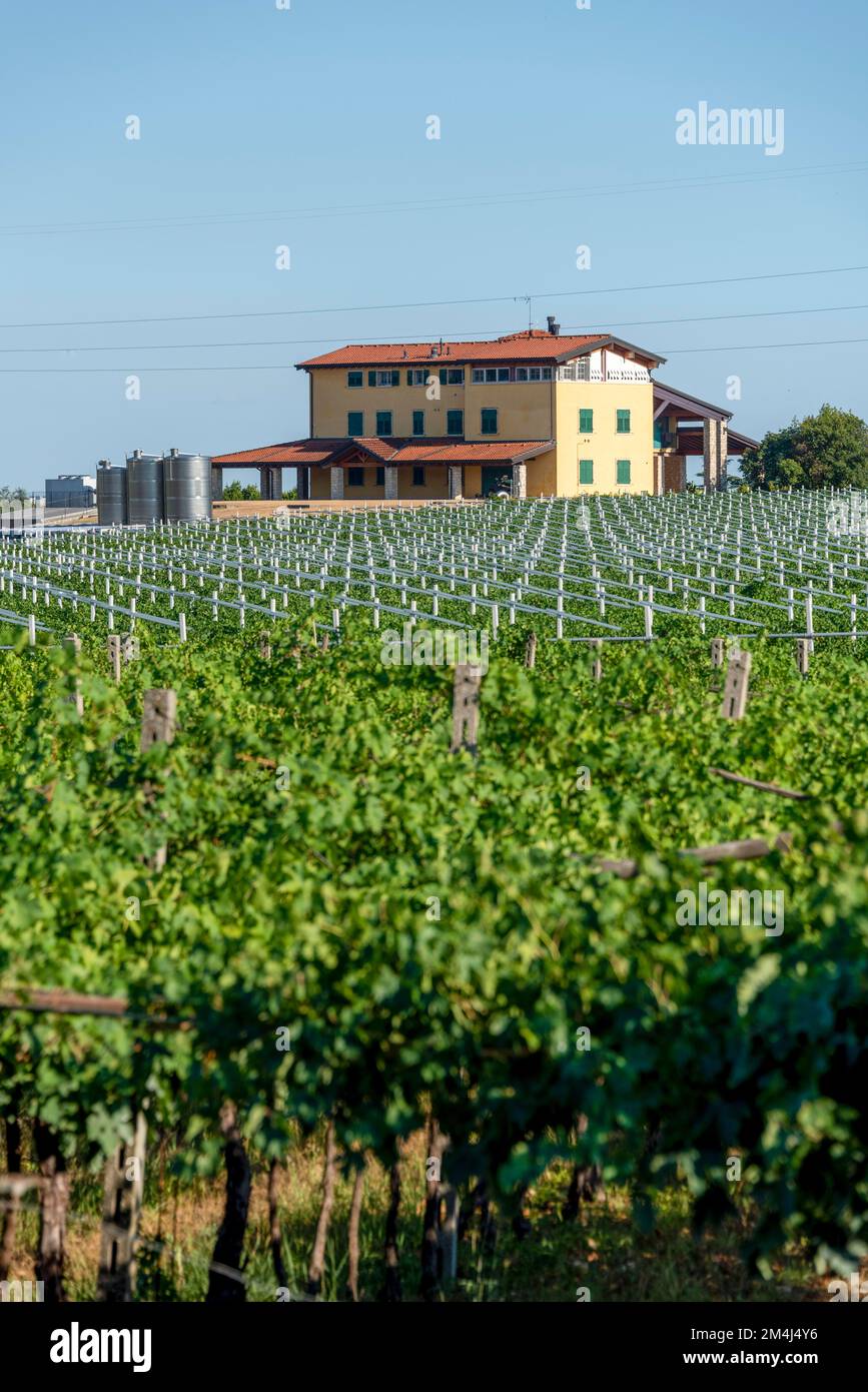 Winery near Verona, Valpolicella wine region, Pedemonte, Veneto, Italy Stock Photo