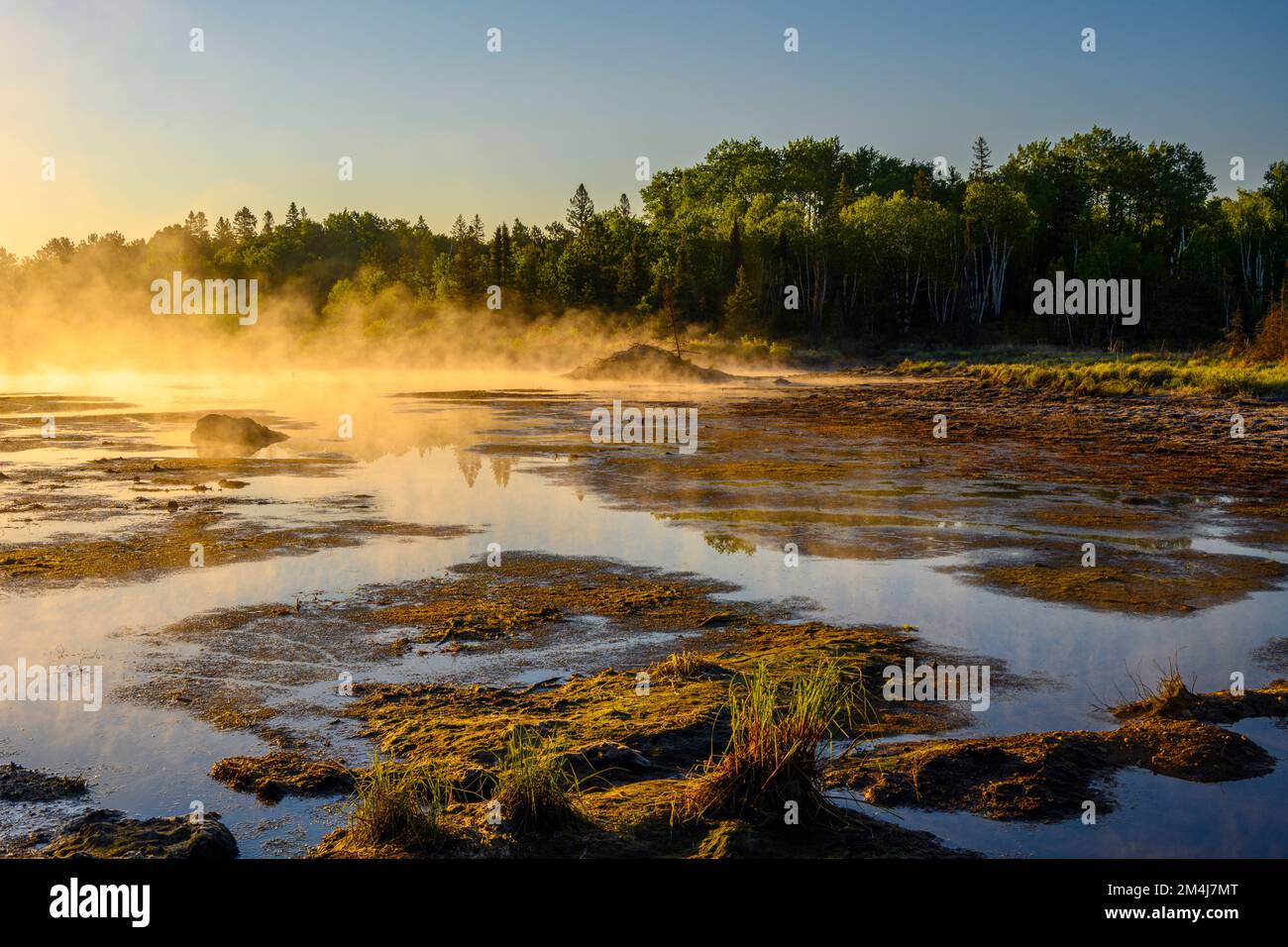 A drained beaver pond, Greater Sudbury, Ontario, Canada Stock Photo