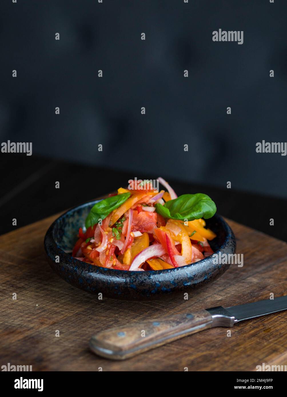 Authentic Italian pizza with fresh tomato sauce, melted mozzarella, and basil leaves