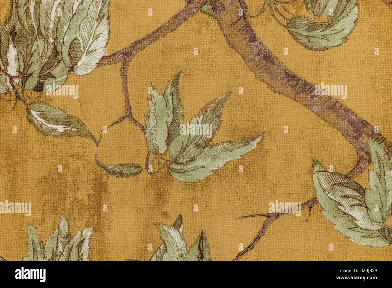 Leaves hand drawn pattern. Digital drawing and watercolor texture. Botanical wallcovering, wallpaper Stock Photo