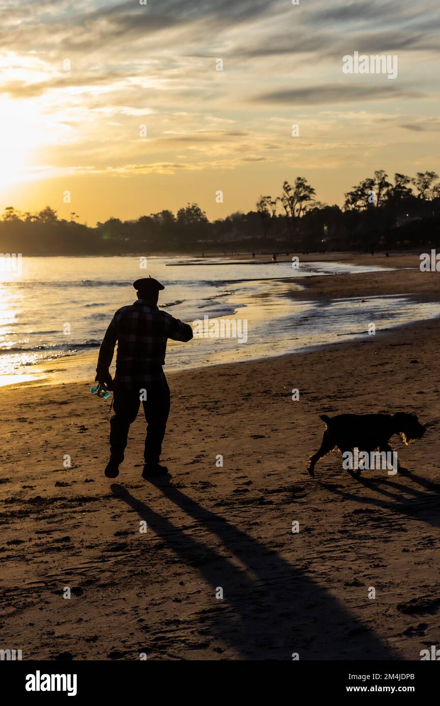 Sunset in the beach. A man with a dog. Beautiful sunset Stock Photo - Alamy