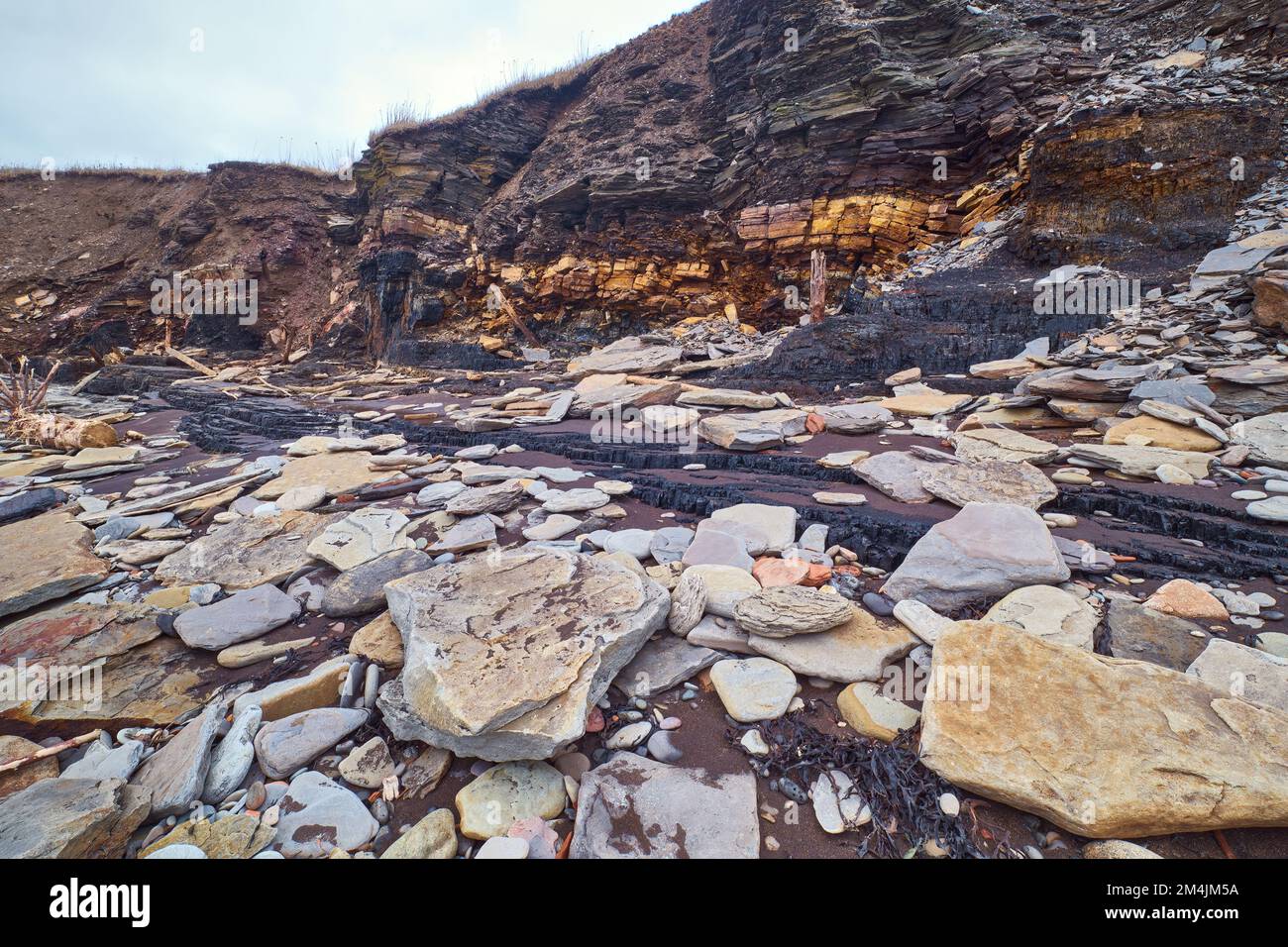 Constant erosion from waves and tides has revealed the remains of
