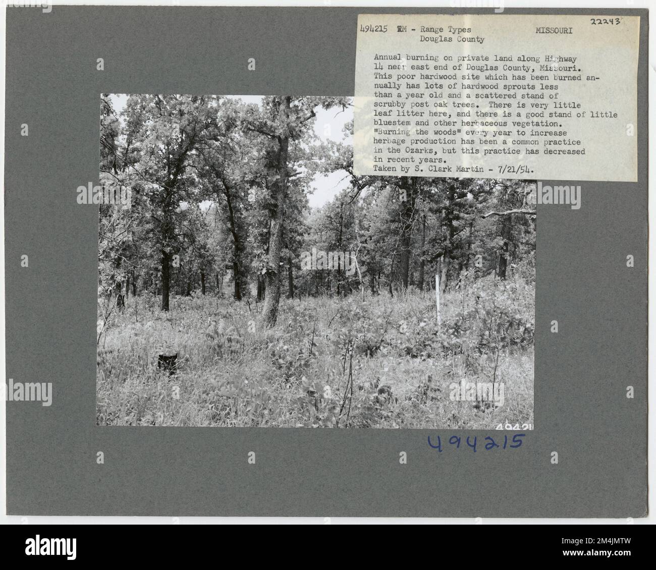 Forest Past Forest - Woodland Types - General. Photographs Relating to National ...