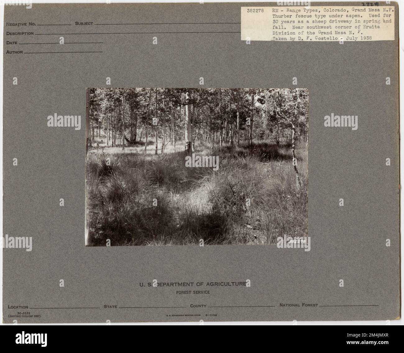 Forest Past Forest - Woodland Types - General. Photographs Relating to National ...