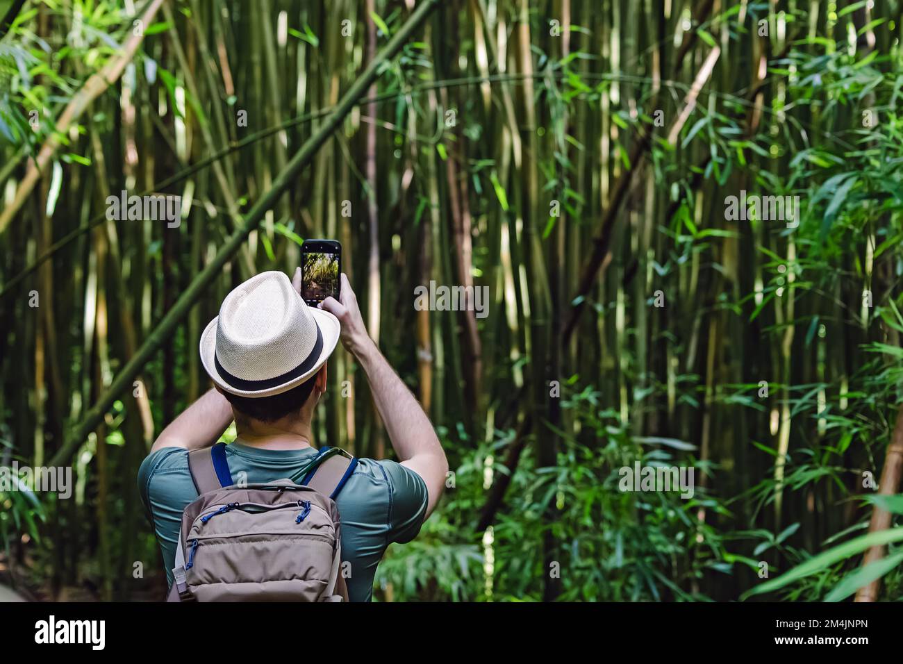 Look Picture Back view of man taking picture of hi-res stock photography and images ...
