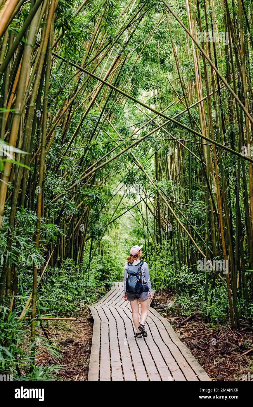 Woman with a backpack walking through the bamboo forest, exploring, travel, outdoor adventure Stock Photo