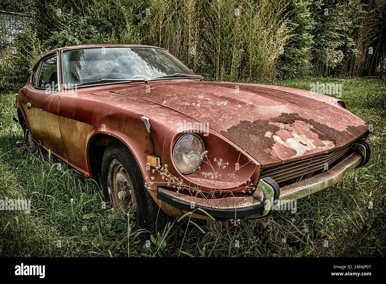 The rusting hulk of a once great sports and GT car.  The Datsun 240Z came to market in late 1969 and was a tremendous success.  Inspired by the Jaguar Stock Photo