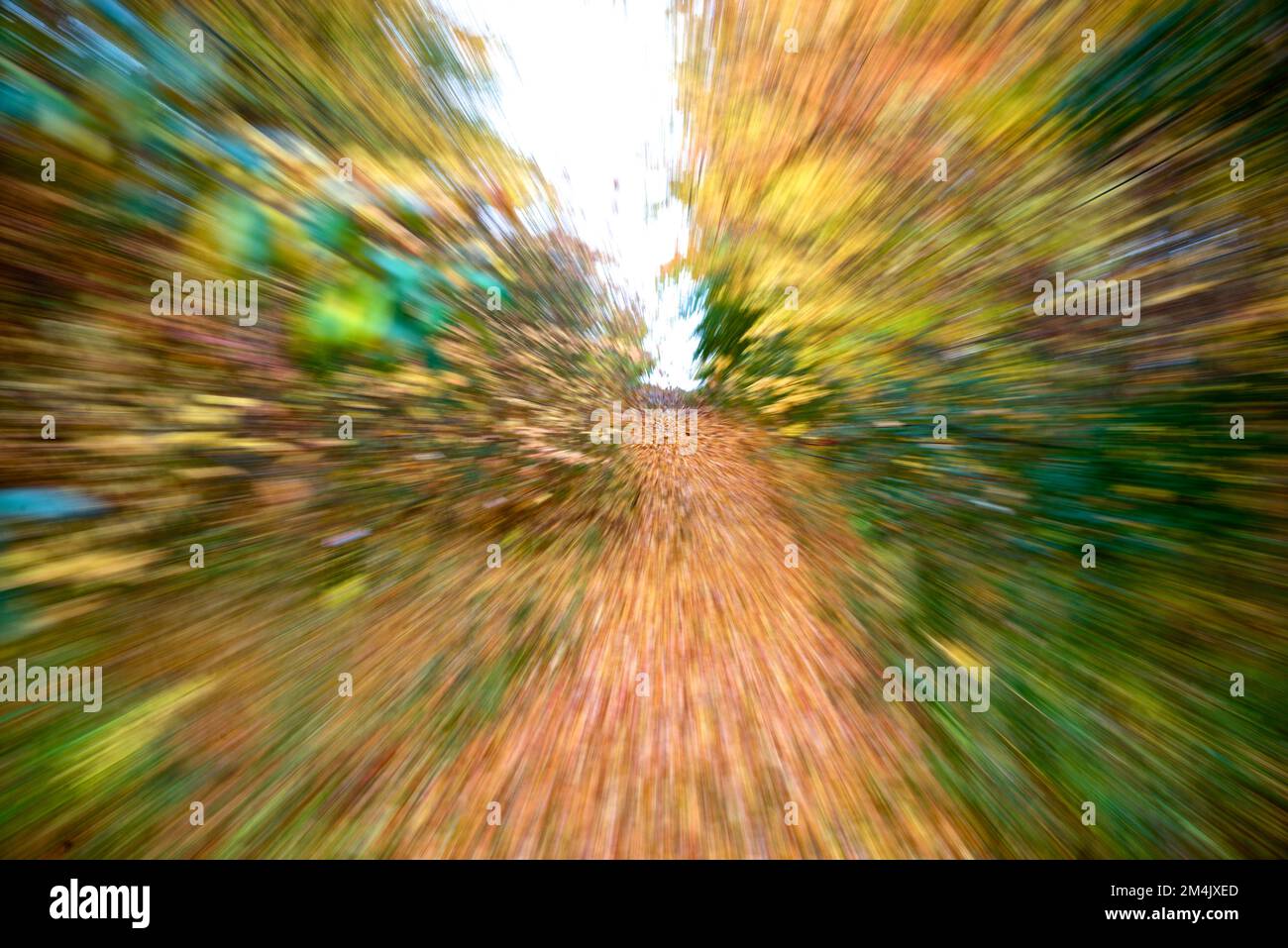 Abstract natural background concept. Conceptual image of autumn landscape background with a zoom movement effect. Stock Photo