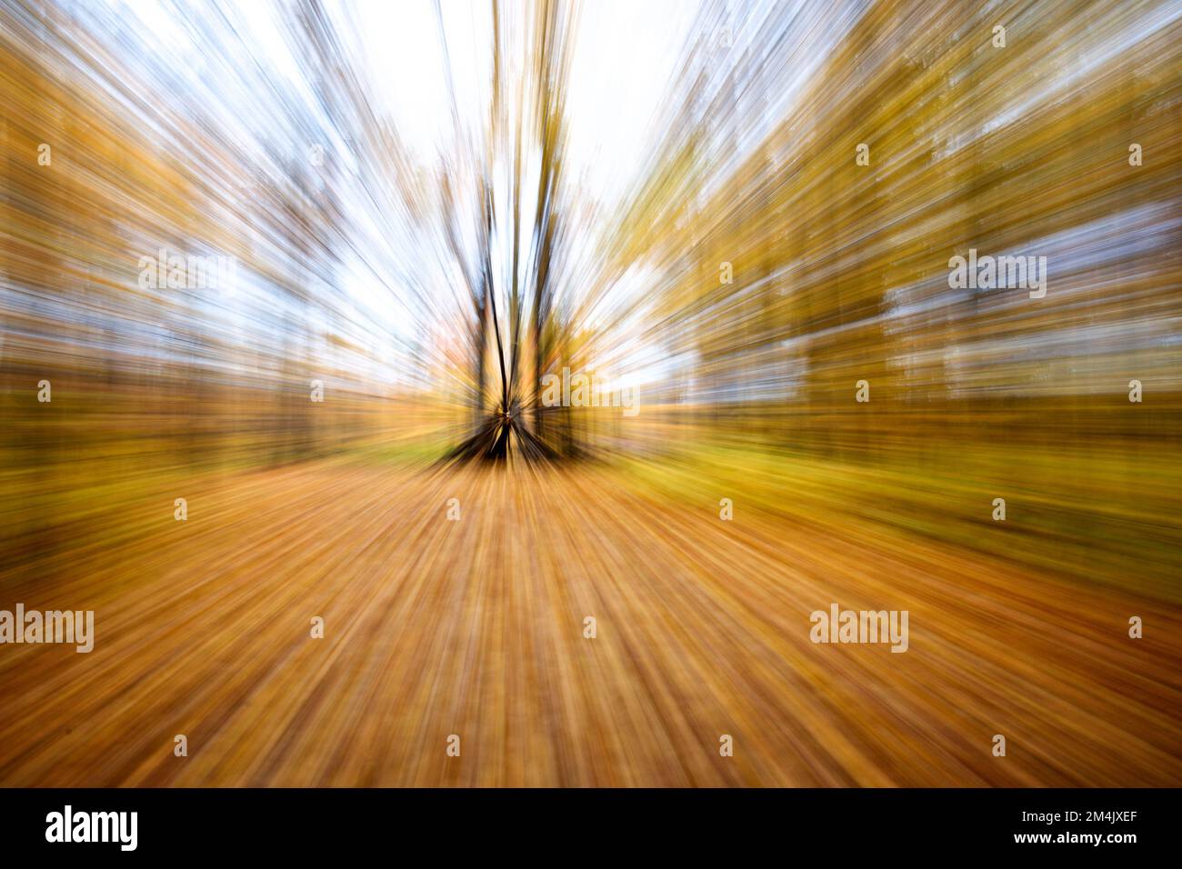 Abstract image of zoom movement effect of the autumn landscape background.  Abstract natural background concept Stock Photo