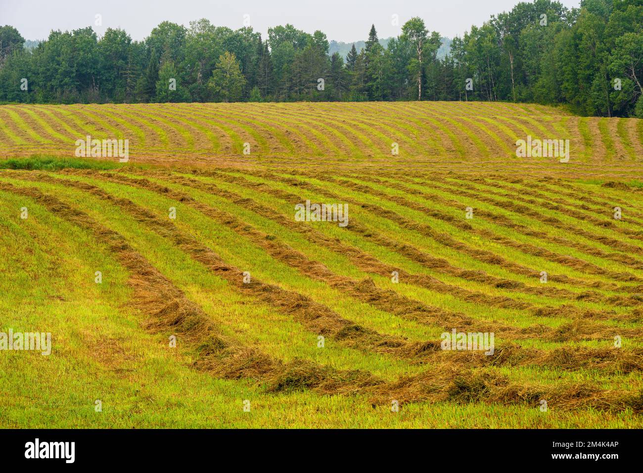 Rural ontario landscape hi-res stock photography and images - Alamy