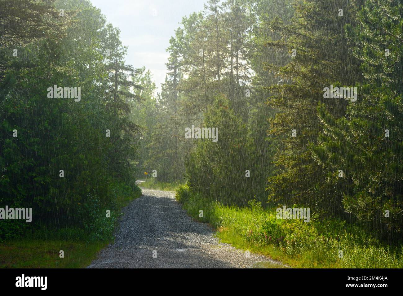 Sunlit rain shower, Greater Sudbury, Ontario, Canada Stock Photo
