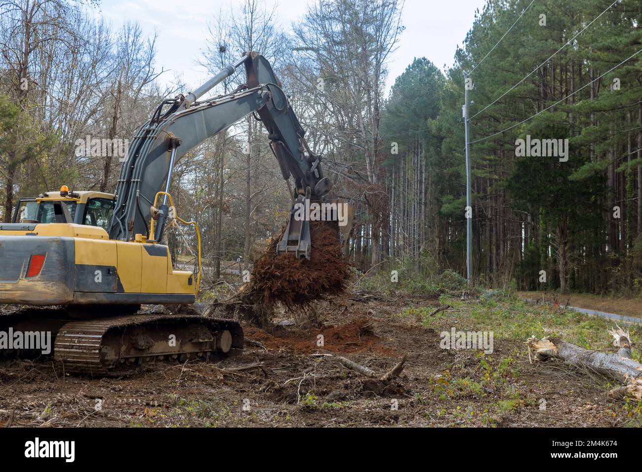 Tractor backhoe was used to remove stump roots from trees that were cut