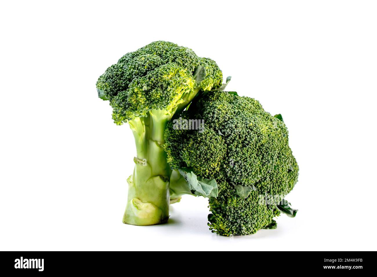 Fresh broccoli isolated on white background. Clipping path included. Stock Photo