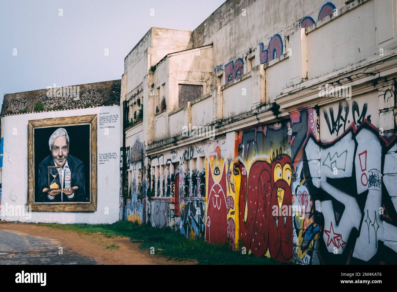 An artwork of David Attenborough on a large wall in Margate, England, United Kingdom Stock Photo