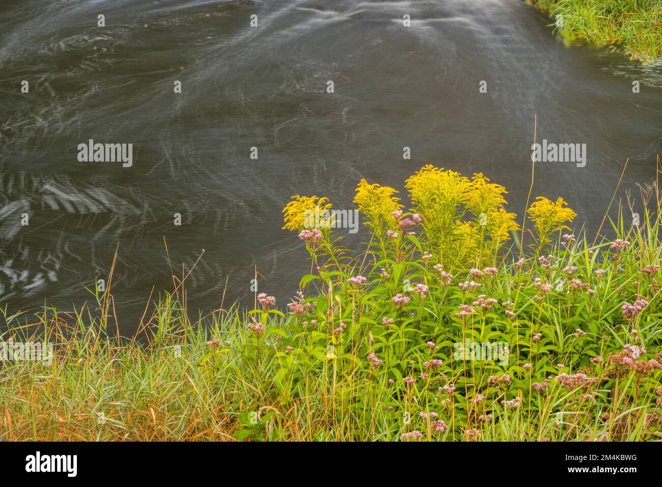 Converging channels, Junction Creek, Greater Sudbury, Ontario, Canada Stock Photo