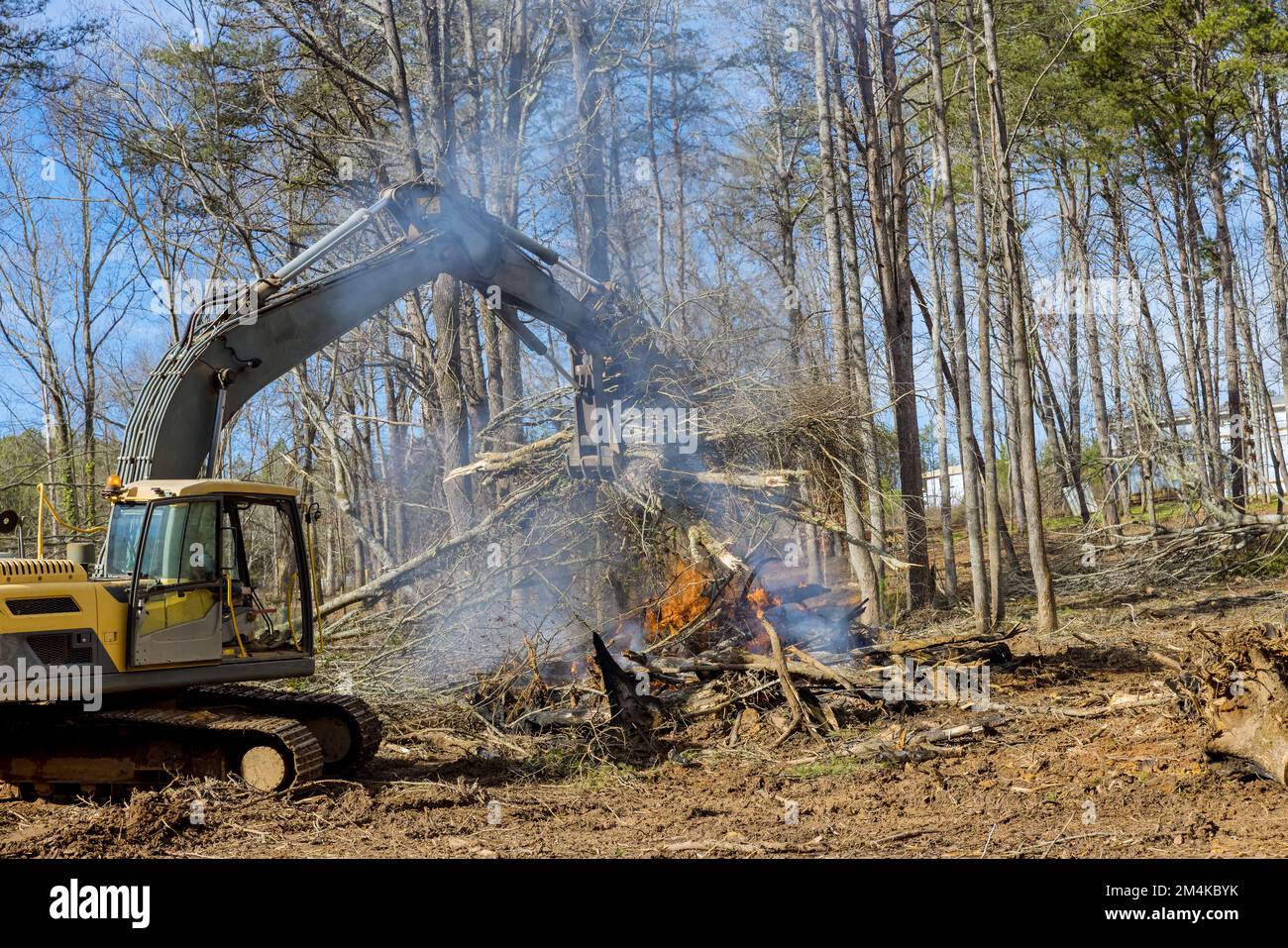There is need to clear land to burn trees that have been uprooted for