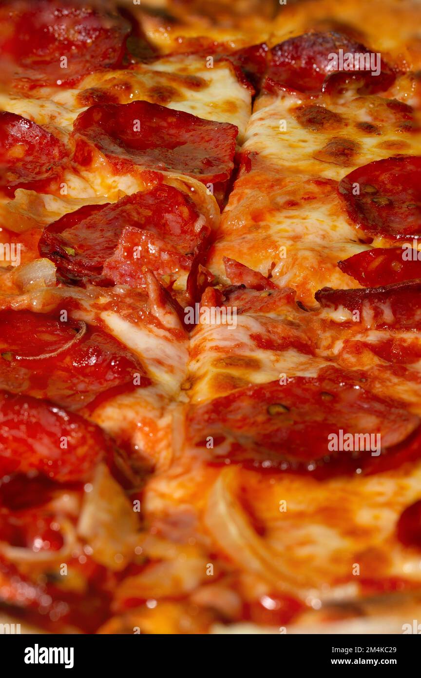 Salami pepperoni pizza texture with onion as background. A close shot