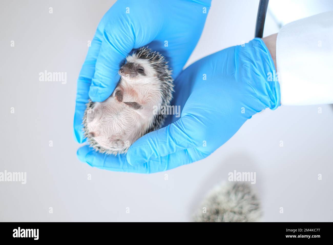 African doctor baby hi-res stock photography and images - Alamy