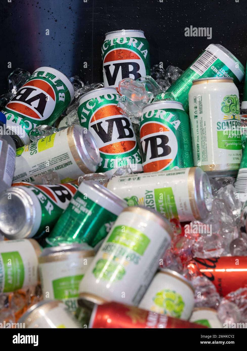 Cans of VB beer in ice bucket at party Stock Photo Alamy