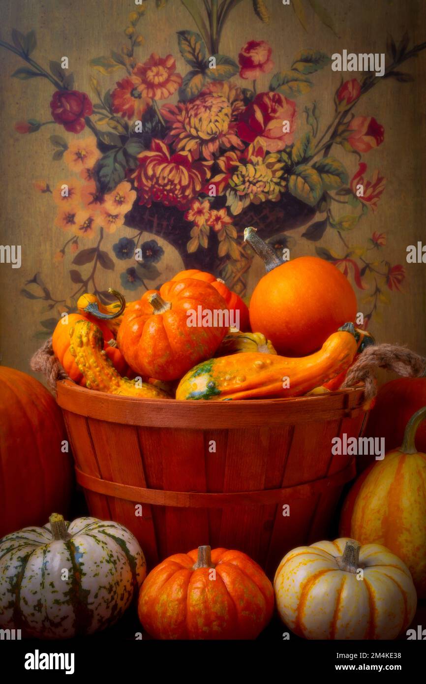 Basket Of Autumn Fruit Pumpkins And Gourds Still Life Stock Photo - Alamy