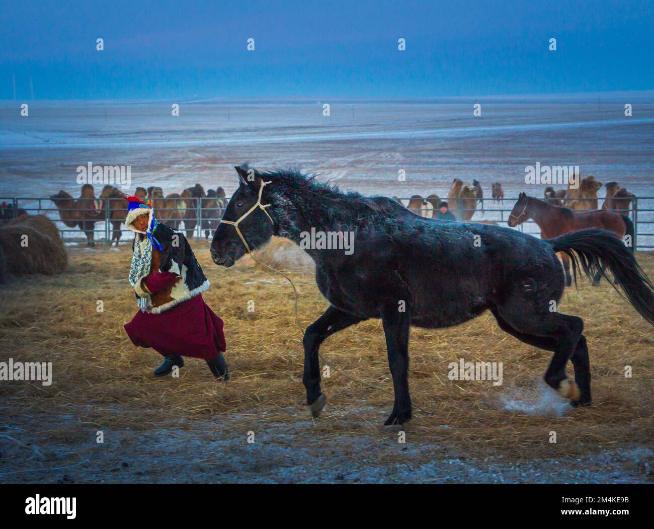 Buryat tribe hi-res stock photography and images - Alamy