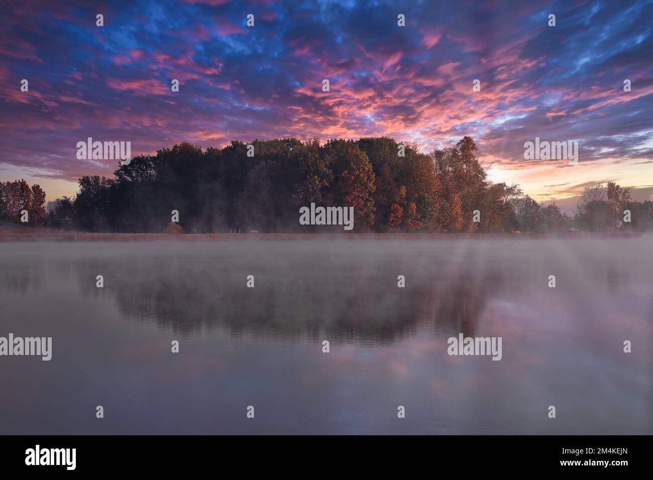 An aerial view of lake surrounded by dense trees during sunset Stock ...