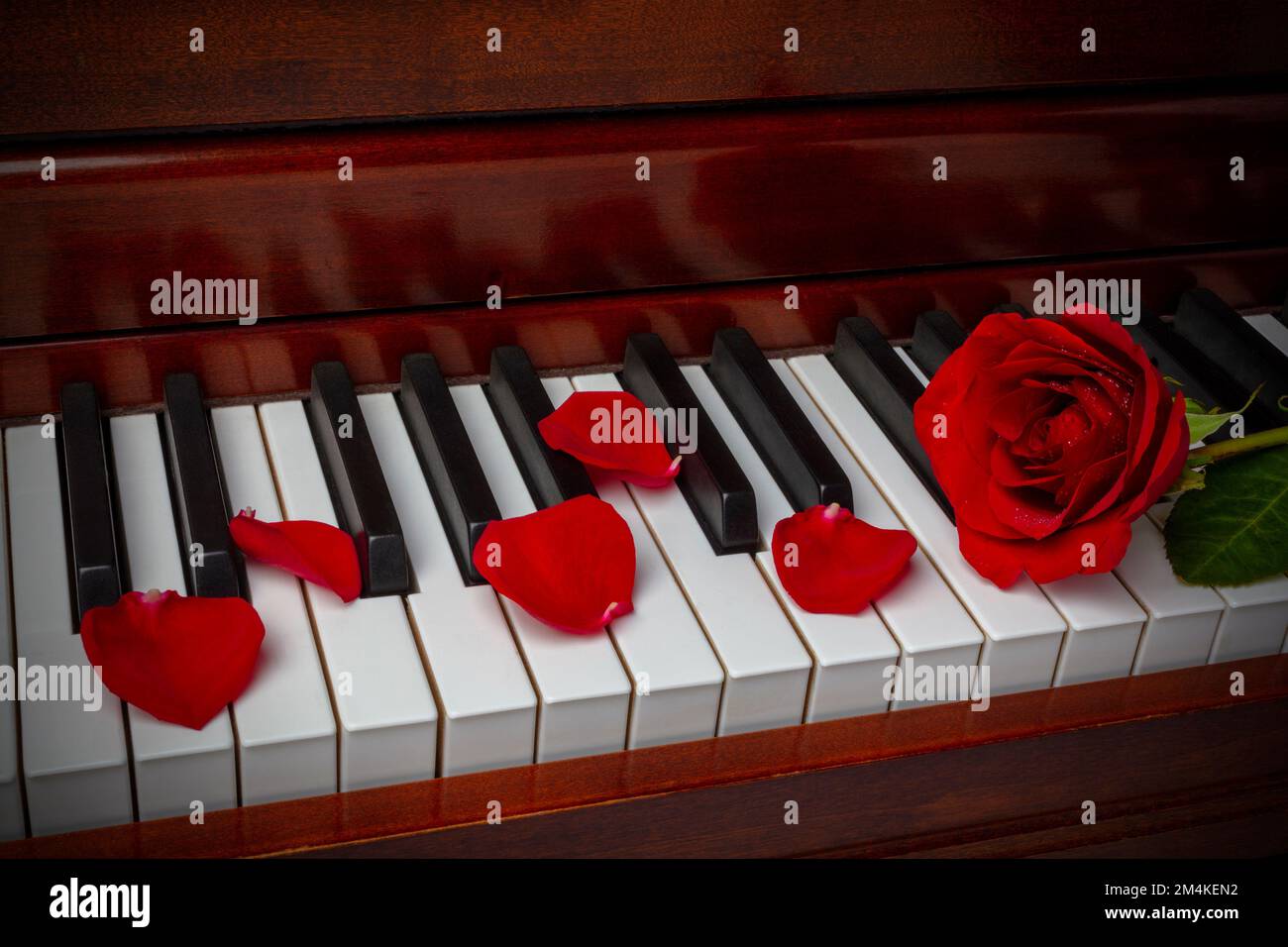 Pinano hi-res stock photography and images - Alamy Pinano hi-res stock photography and images - Alamy